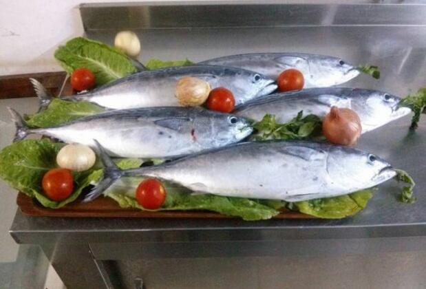 Alarga Otel - Görsel 52