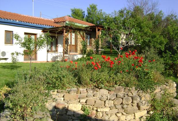 The Gallipoli Houses