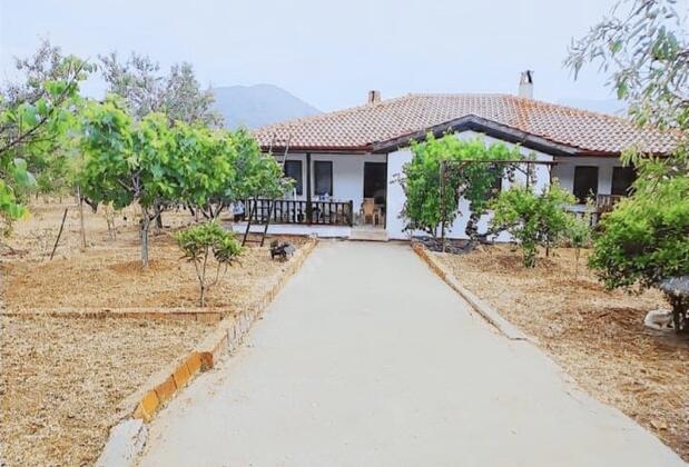 Villa Yaskam - Görsel 3