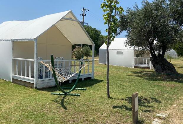 Cunda Fora Glamping - Görsel 2