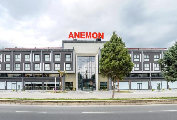 Anemon Aydın