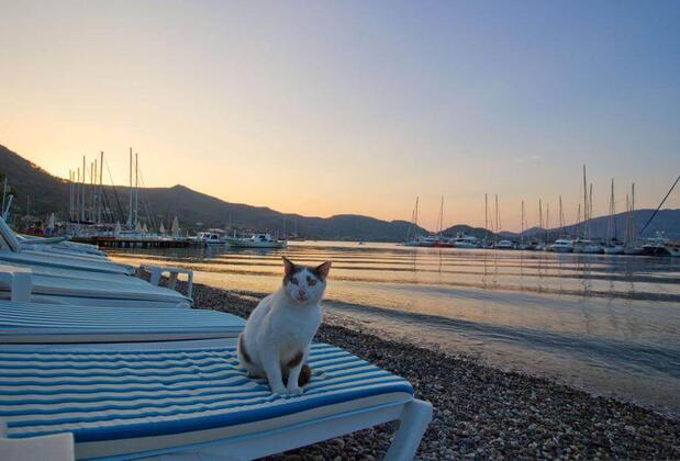 Azul Hotel Selimiye - Görsel 14