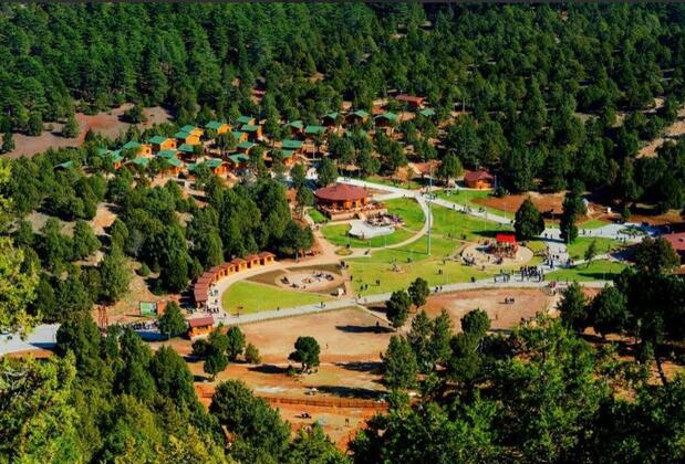 Bağbaşı Yaylası Bungalov Evler - Görsel 12