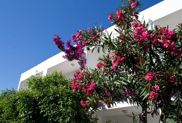 Şahbaz Otel - Görsel 7