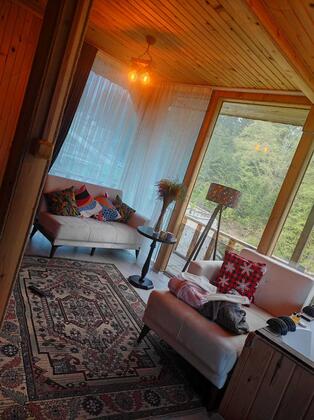 Ayder Cennet Dağ Evi - Görsel 11
