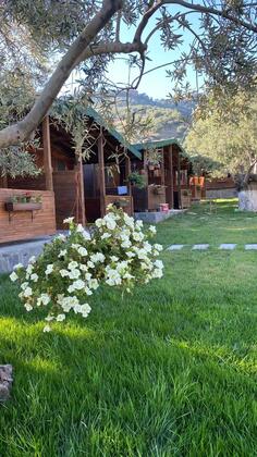 Zytun Bungalows Assos