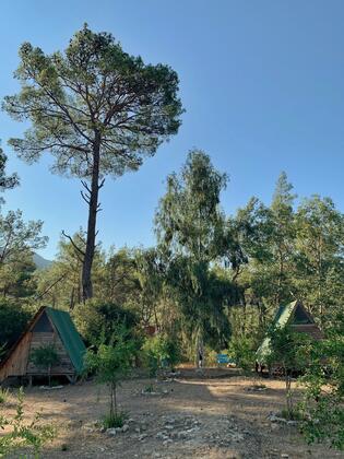 Zen Bungalov Camping - Görsel 5