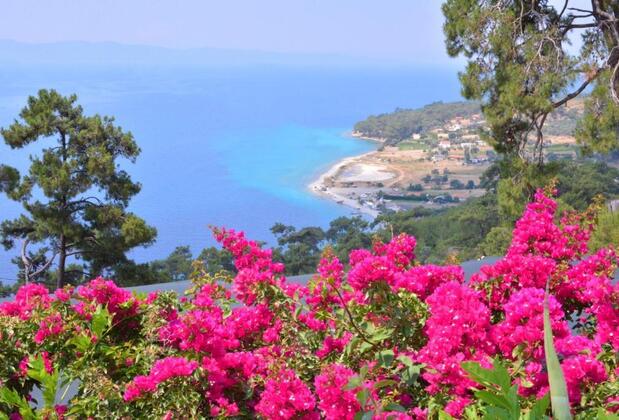 Teras Tepe Apart Otel - Görsel 8