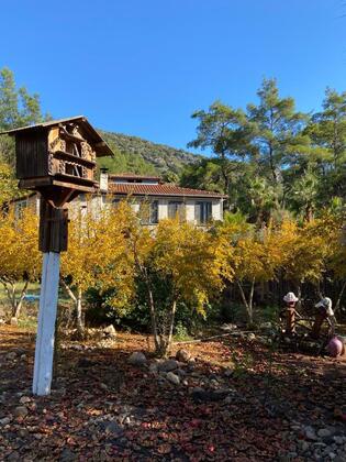 Esvida Arzum Bungalow Olimpos - Görsel 18