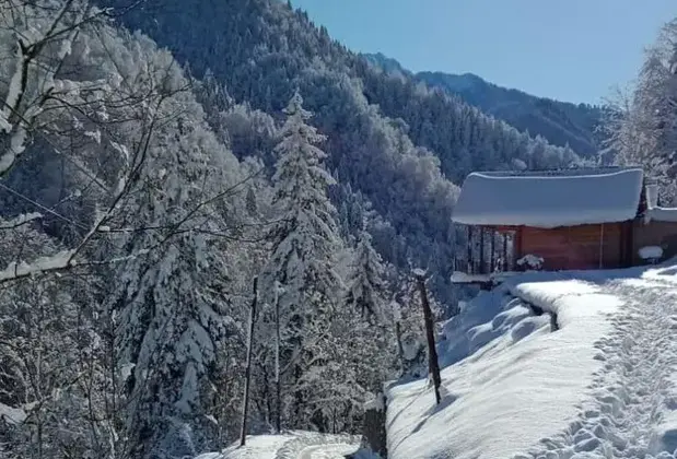 Ayder Dağ Evi