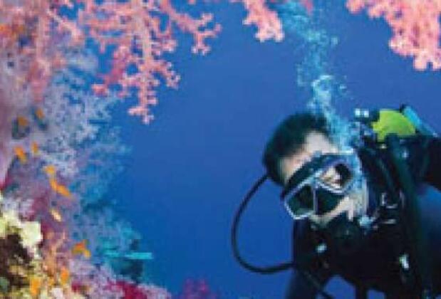 Yaz Mevsimini Uzatmanın Kısa Yolu: Kızıldeniz