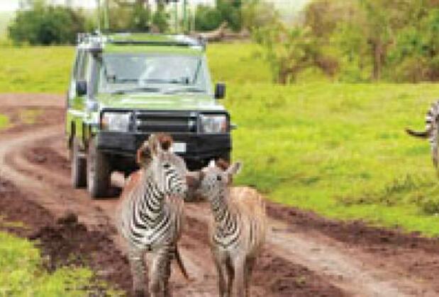 Katıksız Afrika 'Tanzanya'