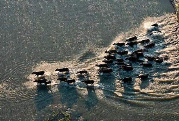 Amerika'nın Hayranlık Uyandıran En Görkemli Milli Parkları