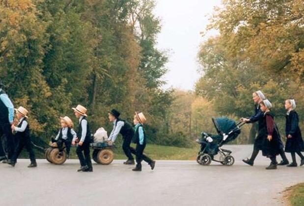 Teknolojiyi Reddeden Topluluk Amişlerin İlginç Yaşam Tarzı