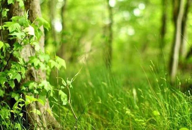 İstanbul'da Nefes Aldıracak Yürüyüş Rotaları