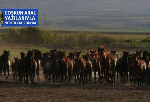 Kendi Objektifimden Kapadokya ve Aklımda Kalan İzler