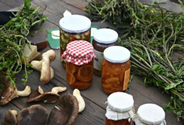 Bodrum Acı Ot Festivali