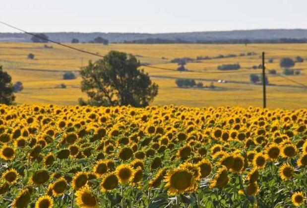 Kırklareli Gezi Rehberi