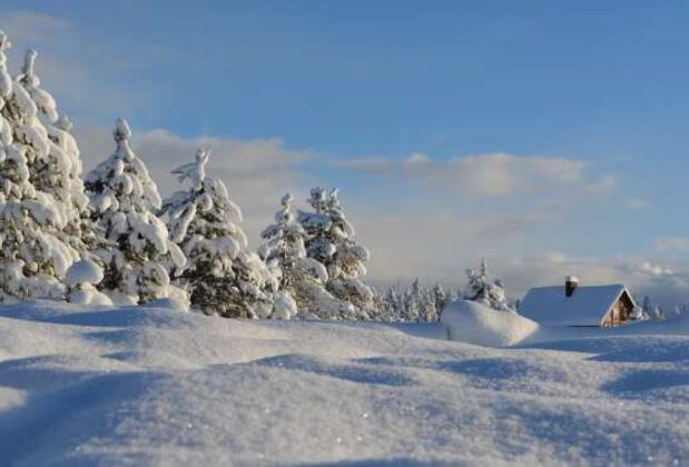 Testi Çöz Kış Mevsimi Hangi Şehirde Geçirmelisin Söyleyelim