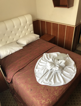 Hotel Erciyes - Görsel 2