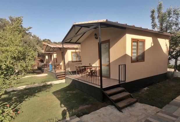 Olive Tree Bungalow