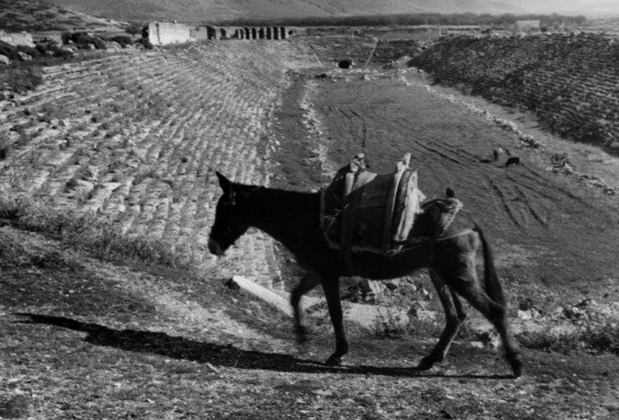 Ara Güler'in Gözünden: Aphrodisias Çığlığı