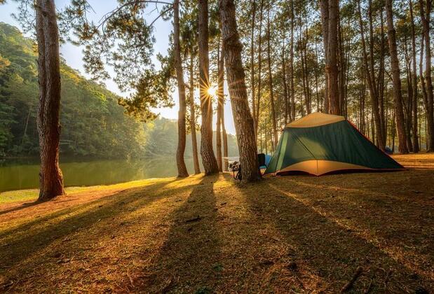 Sapanca Kamp Alanları