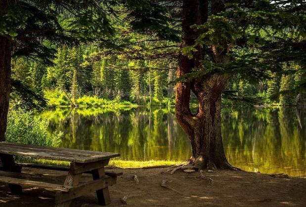 Sapanca Piknik Yerleri