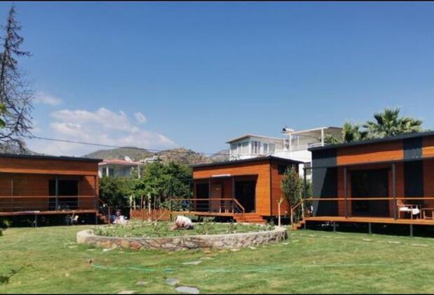 Pitos Tiny House Mazı Koyu - Görsel 2