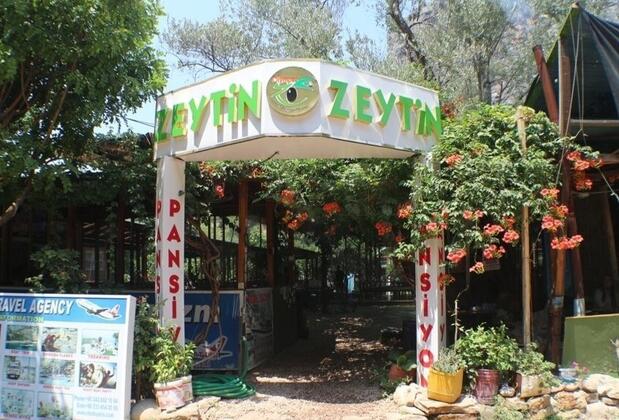 Zeytin Pansiyon Olimpos - Görsel 2