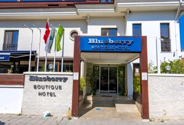 Blueberry Boutique Hotel