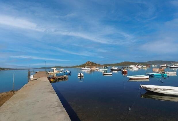 Edremit 30 Ağustos konser ve etkinlik takvimi 2024 | Ücretsiz servis bilgileri