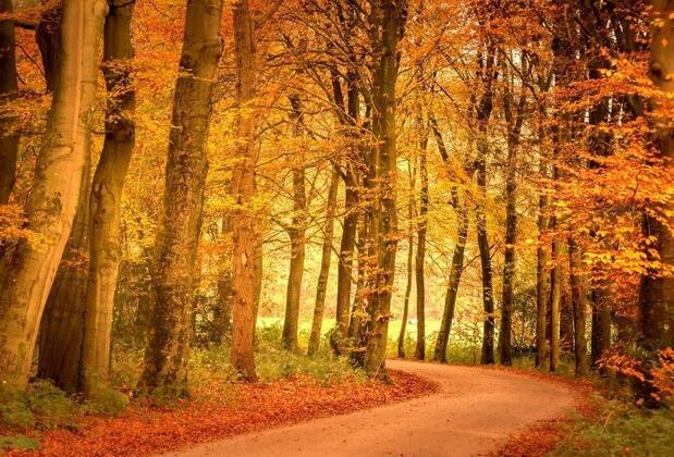 Sonbahar Ekinoksu nedir, ne zaman? Sonbahar ekinoksunda mutlaka görmeniz gereken yerler