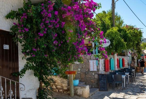 Tarih, Sanat ve Begonvillerin Buluştuğu Yer: Eski Datça