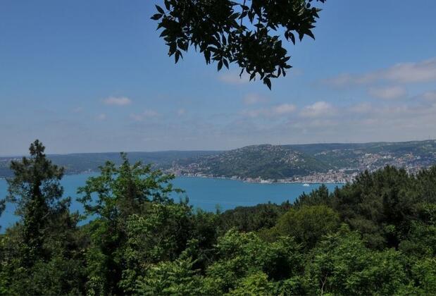 İstanbul'un En Yüksek Yeri: Yuşa Tepesi