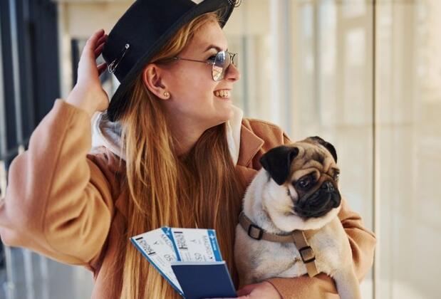 Evcil Hayvan Pasaportu Nedir, Nasıl Alınır?