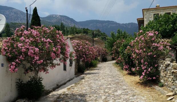 Görsel 49 : Bahab Guest House, Aydın, Sokak Manzarası