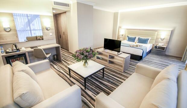 Görsel 17 : Hotel Excellence Inn , Ankara, Deluxe Tek Büyük Yataklı Oda, Oturma Alanı
