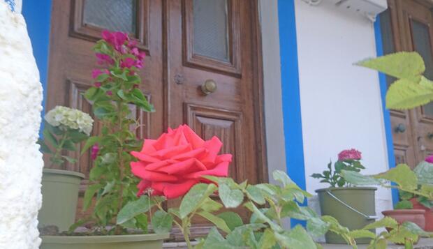 Görsel 17 : Bozcaada Balci Hotel, Bozcaada, Otel Girişi