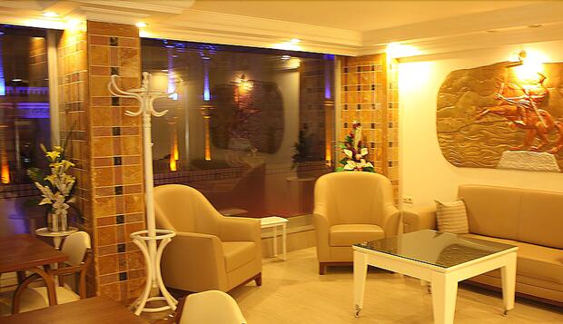 Görsel 2 : Samsun Park Otel, Samsun, Lobi Oturma Alanı