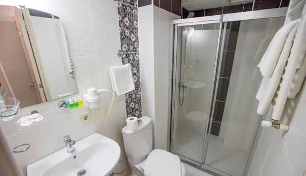 Vizyon City Hotel, İstanbul, Deluxe Tek Büyük veya İki Ayrı Yataklı Oda, 1 Çift Kişilik veya veya 2 Tek Kişilik Yatak, Banyo