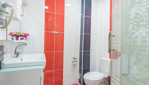Arges Old City Hotel, İstanbul, Superior Tek Kişilik Oda, Banyo