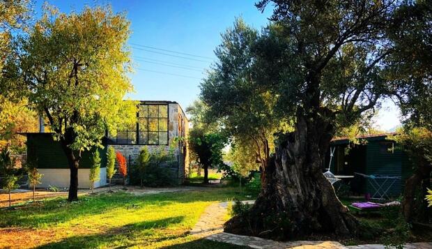 Görsel 1 : My Bungalov, Datça, Otel Sahası