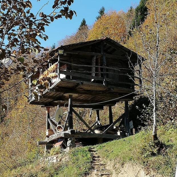 Görsel 1 : 
