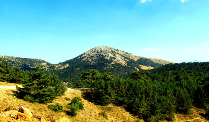 Manisa Gezi Rehberi