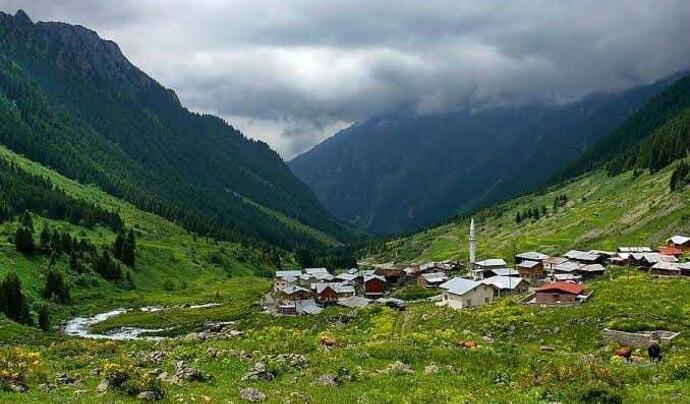 Camili Gorgit Tabiatı Koruma Alanı