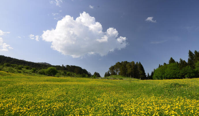 Sorgun Yaylası