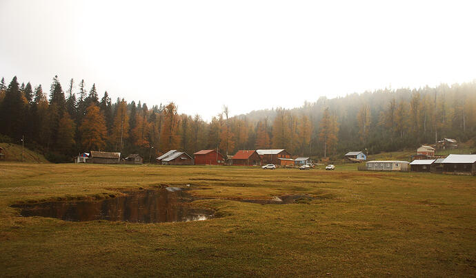 Sapanca Çiğdem Yaylası