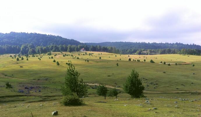 Sapanca Yaylaları