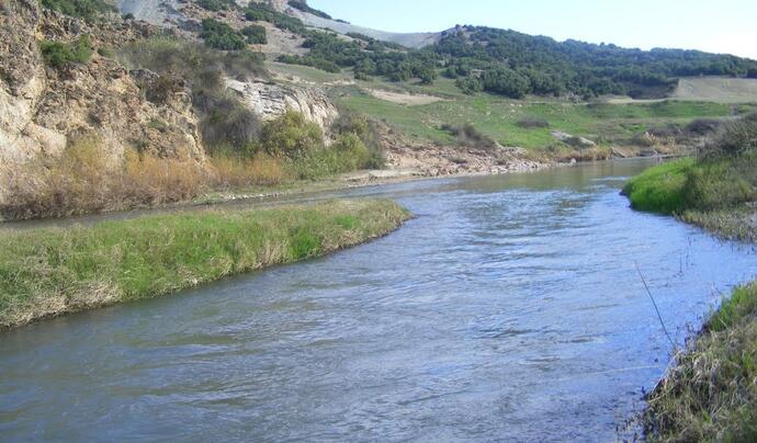 Gediz Nehri